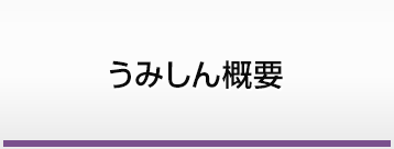 うみしん概要